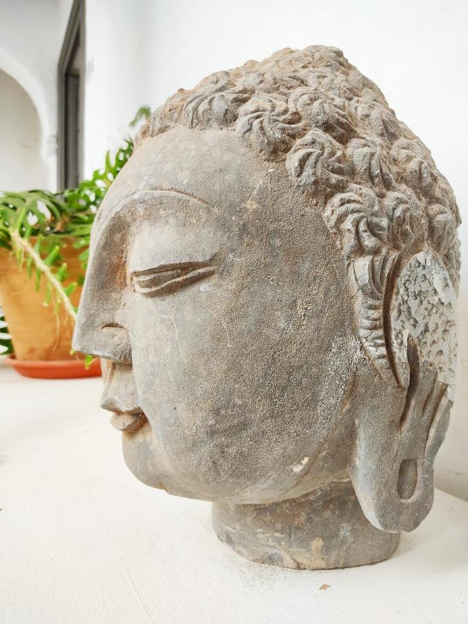 Eole Tarifa Apartments Εξωτερικό φωτογραφία